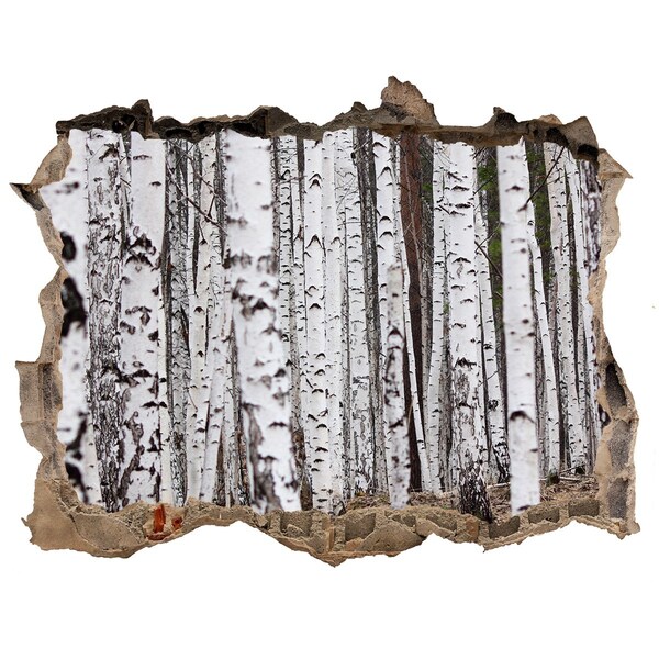 Adesivo buco nel muro Oasi forestale di betulle bianche