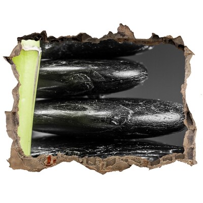 Finto buco nel muro 3D Pietre termali