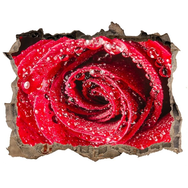 Sticker buco nel muro Rosa con gocce d'acqua