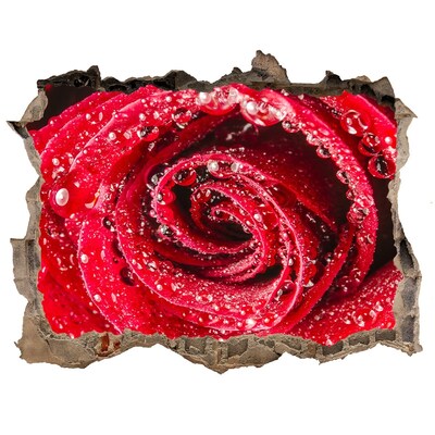 Sticker buco nel muro Rosa con gocce d'acqua