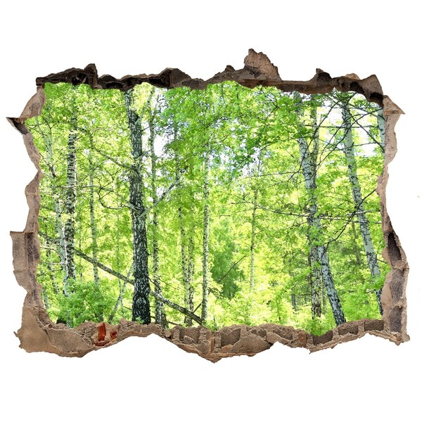 Finto buco nel muro 3D Foresta verdeggiante illuminata dal sole