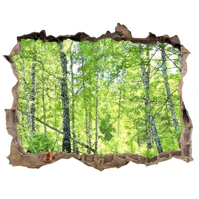 Finto buco nel muro 3D Foresta verdeggiante illuminata dal sole