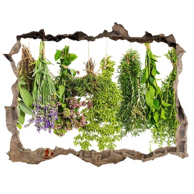 Finto buco nel muro 3D Oasi verde con erbe aromatiche