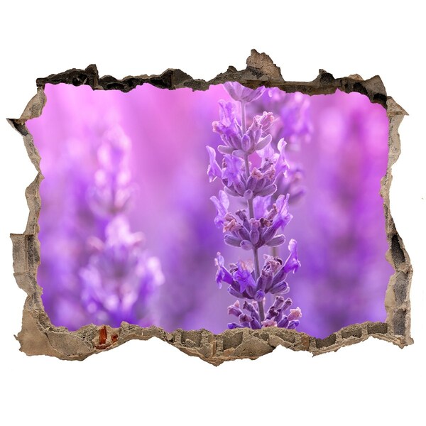 Adesivo buco nel muro Fiori di lavanda nella luce del mattino