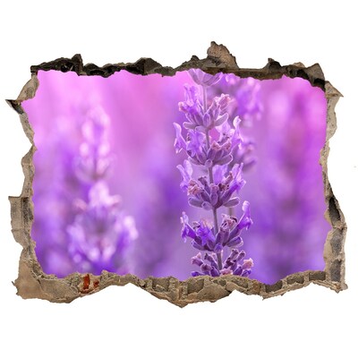 Adesivo buco nel muro Fiori di lavanda nella luce del mattino