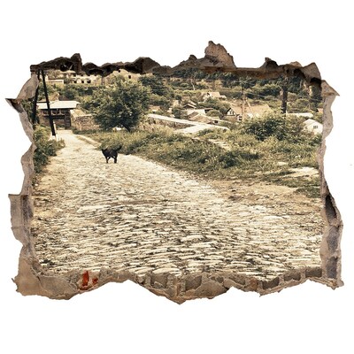 Sticker buco nel muro Una strada di campagna affascinante