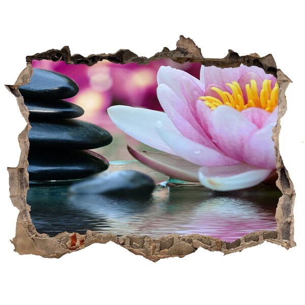 Sticker buco nel muro Fiori e pietre in un giardino zen