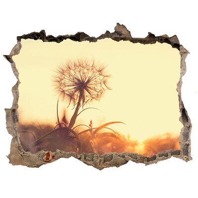 Adesivo buco nel muro Un fiore ai raggi del sole