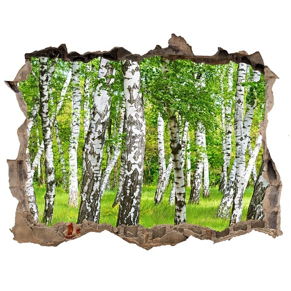 Finto buco nel muro 3D Foresta di betulle verdi