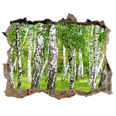 Finto buco nel muro 3D Foresta di betulle verdi