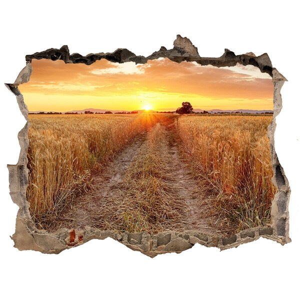 Sticker buco nel muro Tramonto dorato su un campo di grano