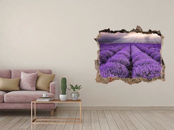 Sticker buco nel muro Campi di lavanda alla luce del sole al tramonto