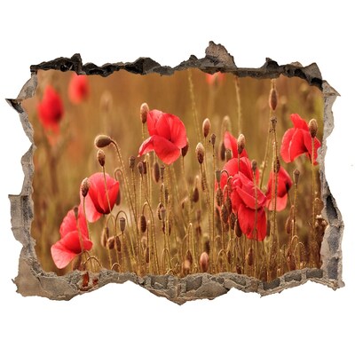 Finto buco nel muro 3D Fiori tra le rovine del muro