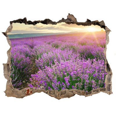 Finto buco nel muro 3D Campo di lavanda all'alba