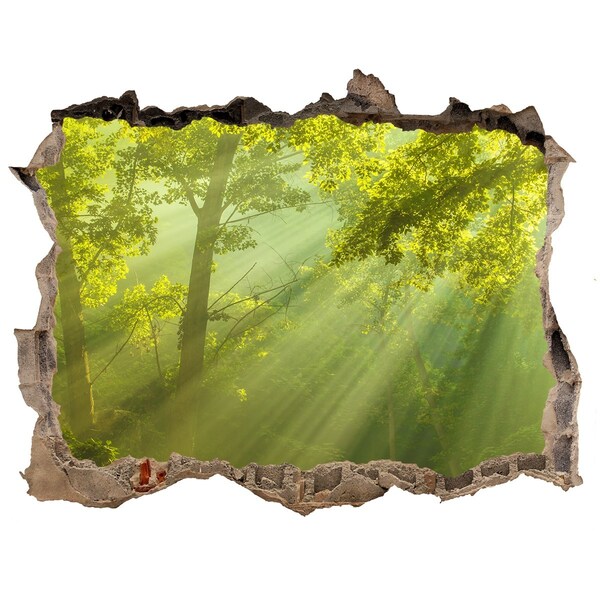 Sticker buco nel muro Foresta verde con raggi di sole