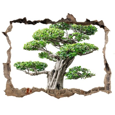Finto buco nel muro 3D Bonsai in un buco nel muro