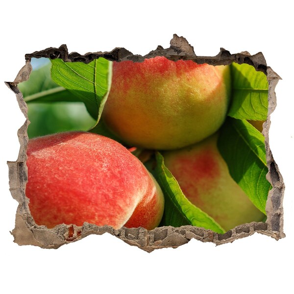 Sticker buco nel muro Meloto