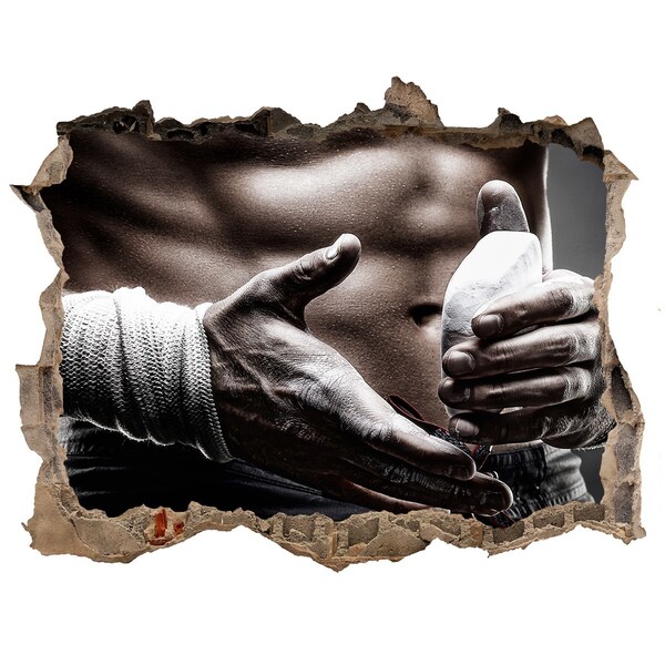 Finto buco nel muro 3D Campione di arti marziali