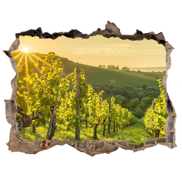 Sticker buco nel muro Vigneti al sole