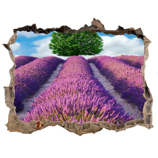 Finto buco nel muro 3D Campo di lavanda dietro il muro