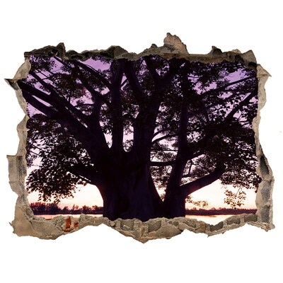 Sticker buco nel muro Tramonto dietro l'albero