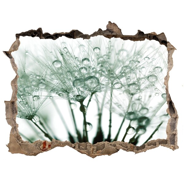 Adesivo buco nel muro Un sogno floreale dietro il muro