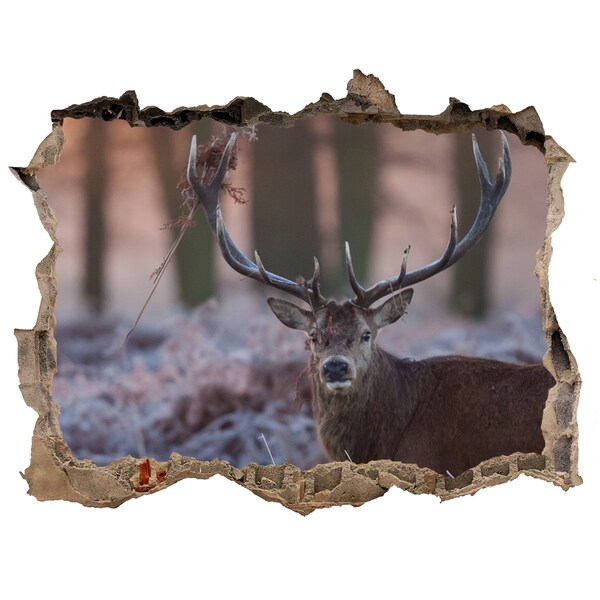 Adesivo buco nel muro Cervi nella foresta