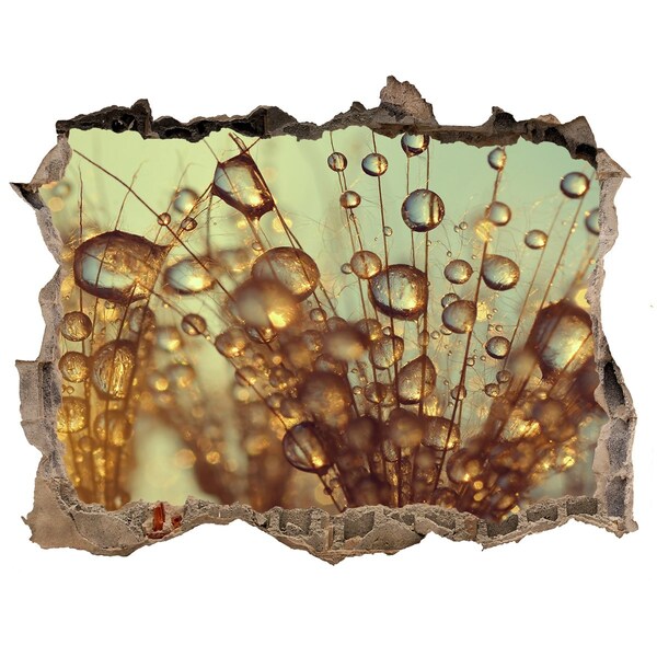 Adesivo buco nel muro Gocce sui capelli delicati