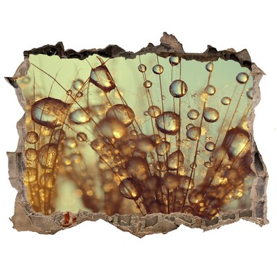 Adesivo buco nel muro Gocce sui capelli delicati