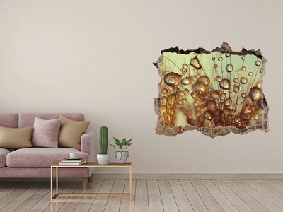 Adesivo buco nel muro Gocce sui capelli delicati