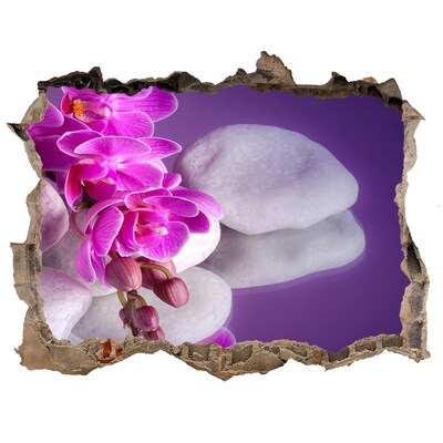 Adesivo buco nel muro Orchidee su uno sfondo di pietre