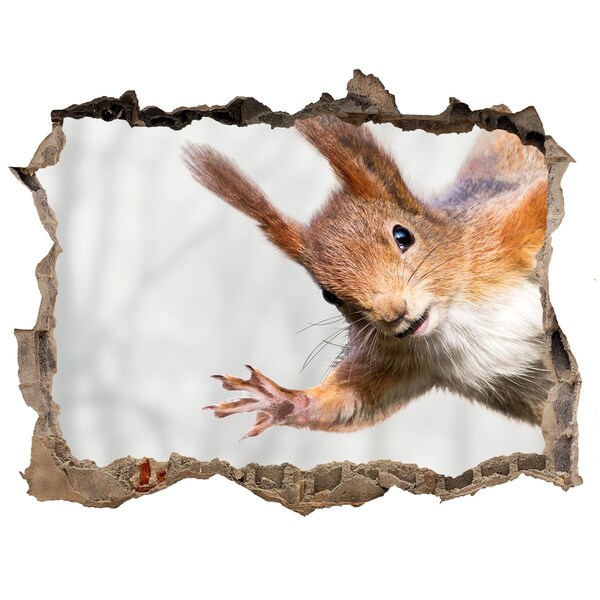 Adesivo buco nel muro Scoiattolo in azione