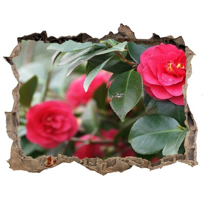 Adesivo buco nel muro Giardino fiorito in cemento