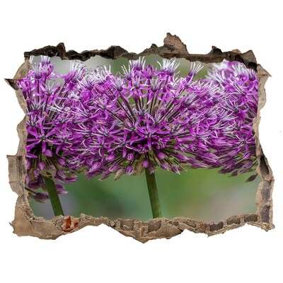 Finto buco nel muro 3D Fiori in fiore