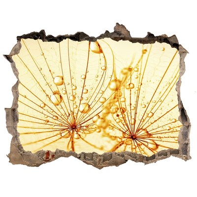 Sticker buco nel muro Fiori dorati nel cemento