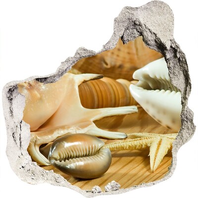 Trompe l'oeil buco nel muro Tesori del mare