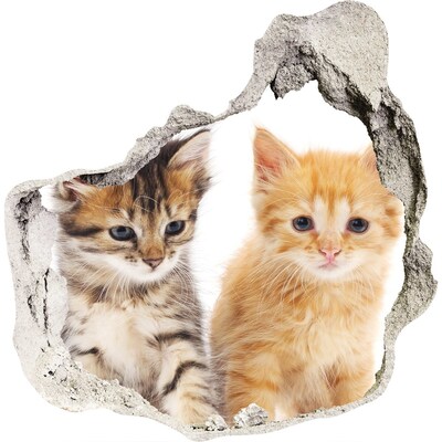 Trompe l'oeil buco nel muro Amici gatti dietro il buco