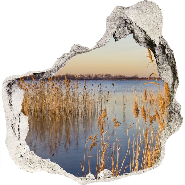 Finto buco nel muro 3D Baia con canneti