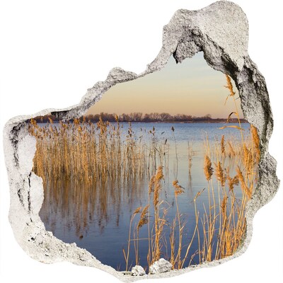 Finto buco nel muro 3D Baia con canneti