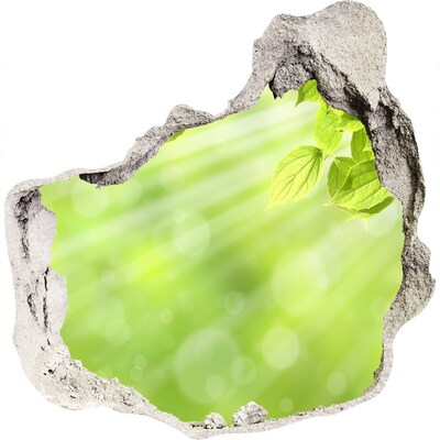 Adesivo effetto buco nel muro Un paradiso verde dietro le mura