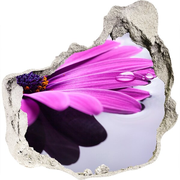 Adesivo effetto buco nel muro Un'oasi floreale dietro il muro