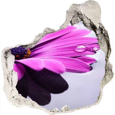 Adesivo effetto buco nel muro Un'oasi floreale dietro il muro