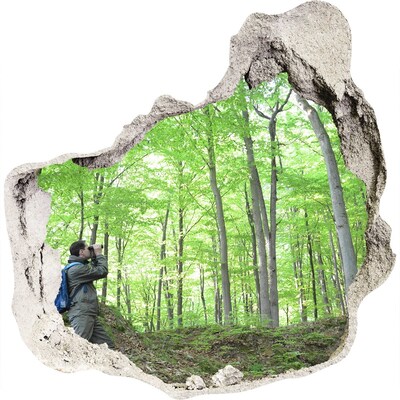 Finto buco nel muro 3D Oasi nella foresta