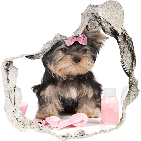 Finto buco nel muro 3D Un dolce Yorkshire Terrier con un fiocco rosa