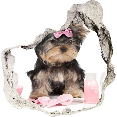 Finto buco nel muro 3D Un dolce Yorkshire Terrier con un fiocco rosa