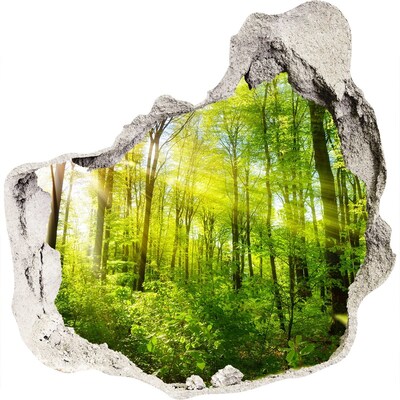 Finto buco nel muro 3D Foresta verde con raggi di sole