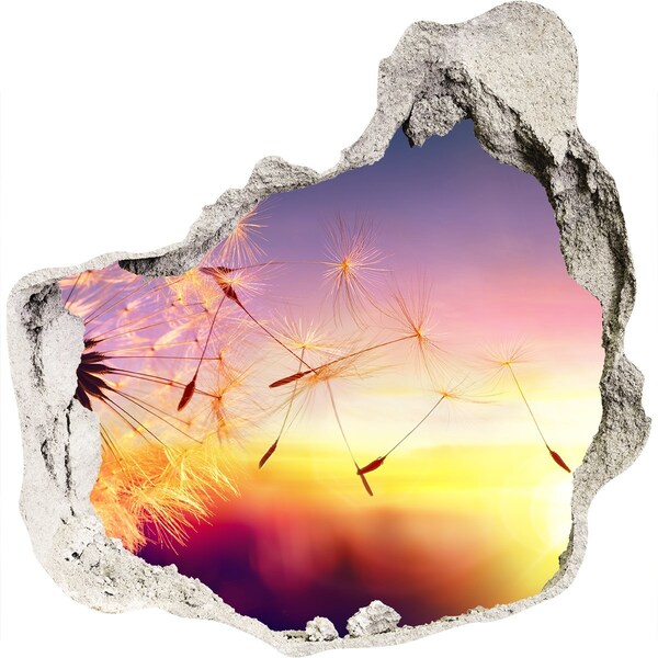 Adesivo effetto buco nel muro Sogni di fiori al tramonto