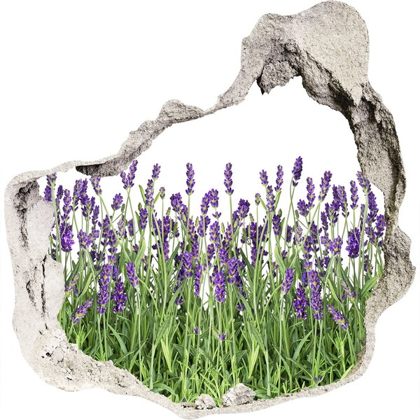 Finto buco nel muro 3D Oasi floreale di lavanda