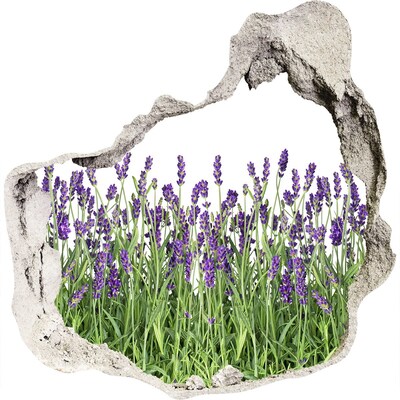 Finto buco nel muro 3D Oasi floreale di lavanda
