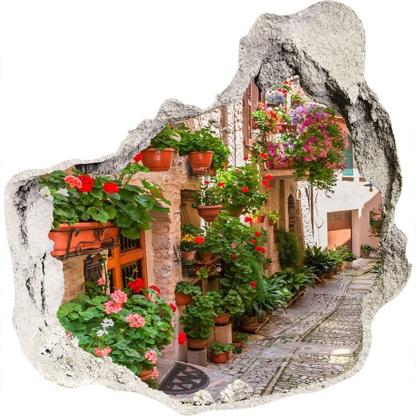 Trompe l'oeil buco nel muro Un angolo incantevole con fiori